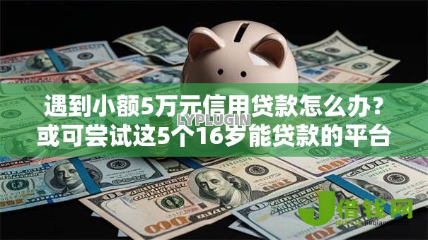 遇到小额5万元信用贷款怎么办?或可尝试这5个16岁能贷款的平台 遇到小额5万元信用贷款怎么办?或可尝试这5个16岁能贷款的平台