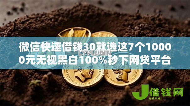微信快速借钱30就选这7个10000元无视黑白100%秒下网贷平台