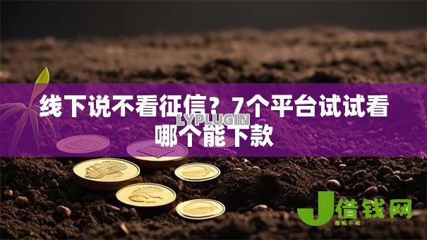 线下说不看征信？7个平台试试看哪个能下款