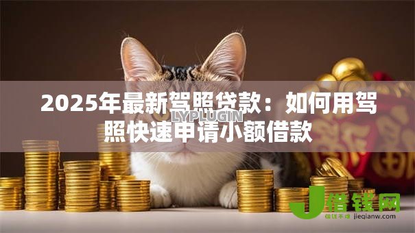 2025年最新驾照贷款:如何用驾照快速申请小额借款 2025年最新驾照贷款:如何用驾照快速申请小额借款