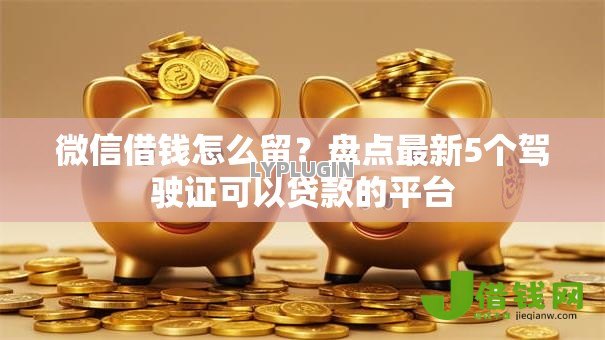 微信借钱怎么留?盘点最新5个驾驶证可以贷款的平台 微信借钱怎么留?盘点最新5个驾驶证可以贷款的平台