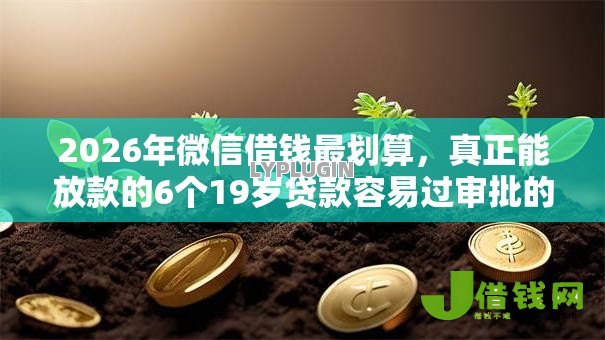 2026年微信借钱最划算，真正能放款的6个19岁贷款容易过审批的平台推荐