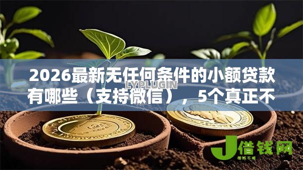 2026最新无任何条件的小额贷款有哪些(支持微信),5个真正不查征信的贷款平台无私分享 2026最新无任何条件的小额贷款有哪些(支持微信),5个真正不查征信的贷款平台无私分享