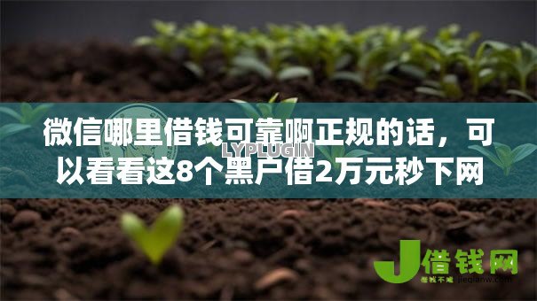 微信哪里借钱可靠啊正规的话,可以看看这8个黑户借2万元秒下网贷口子app 微信哪里借钱可靠啊正规的话,可以看看这8个黑户借2万元秒下网贷口子app