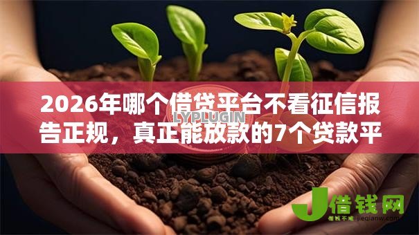 2026年哪个借贷平台不看征信报告正规,真正能放款的7个贷款平台排行推荐 2026年哪个借贷平台不看征信报告正规,真正能放款的7个贷款平台排行推荐