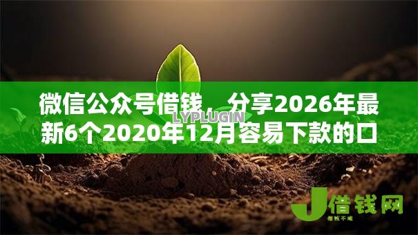 微信公众号借钱,分享2026年最新6个2020年12月容易下款的口子 微信公众号借钱,分享2026年最新6个2020年12月容易下款的口子
