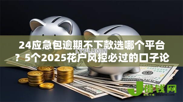 24应急包逾期不下款选哪个平台？5个2025花户风控必过的口子论坛推荐