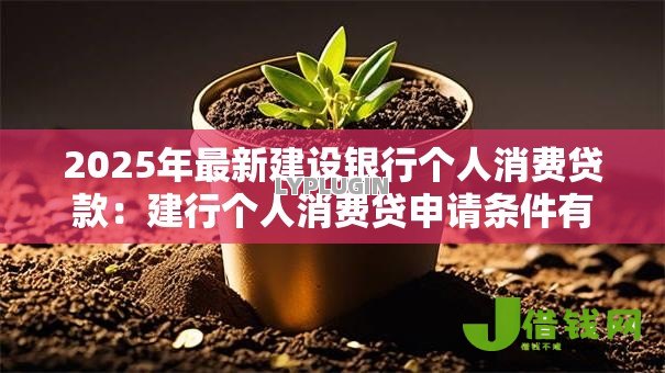 2025年最新建设银行个人消费贷款:建行个人消费贷申请条件有哪些 2025年最新建设银行个人消费贷款:建行个人消费贷申请条件有哪些