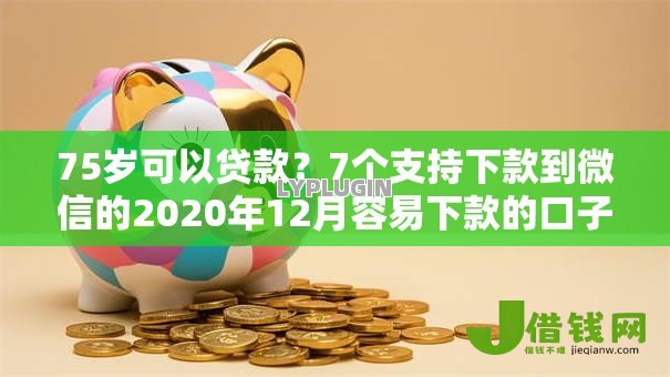 75岁可以贷款?7个支持下款到微信的2020年12月容易下款的口子 75岁可以贷款?7个支持下款到微信的2020年12月容易下款的口子