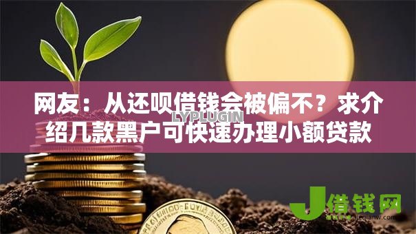 网友：从还呗借钱会被偏不？求介绍几款黑户可快速办理小额贷款业务的平台