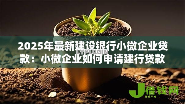 2025年最新建设银行小微企业贷款:小微企业如何申请建行贷款 2025年最新建设银行小微企业贷款:小微企业如何申请建行贷款