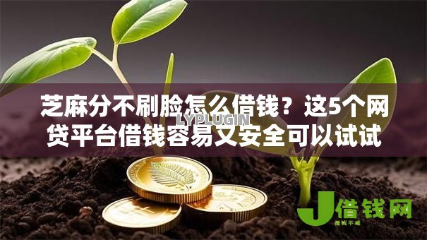 芝麻分不刷脸怎么借钱？这5个网贷平台借钱容易又安全可以试试