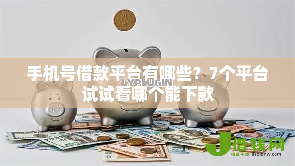 手机号借款平台有哪些?7个平台试试看哪个能下款 手机号借款平台有哪些?7个平台试试看哪个能下款