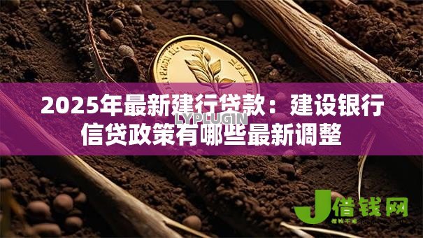 2025年最新建行贷款:建设银行信贷政策有哪些最新调整 2025年最新建行贷款:建设银行信贷政策有哪些最新调整