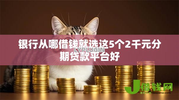 银行从哪借钱就选这5个2千元分期贷款平台好 银行从哪借钱就选这5个2千元分期贷款平台好