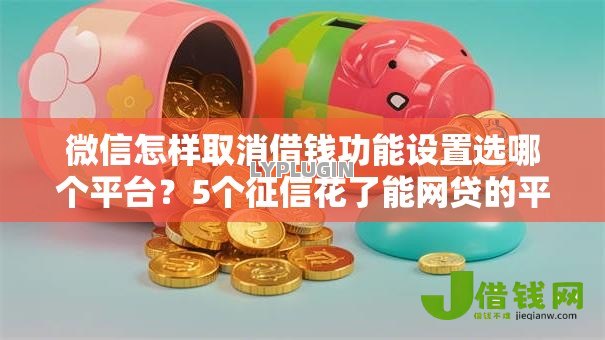 微信怎样取消借钱功能设置选哪个平台？5个征信花了能网贷的平台推荐