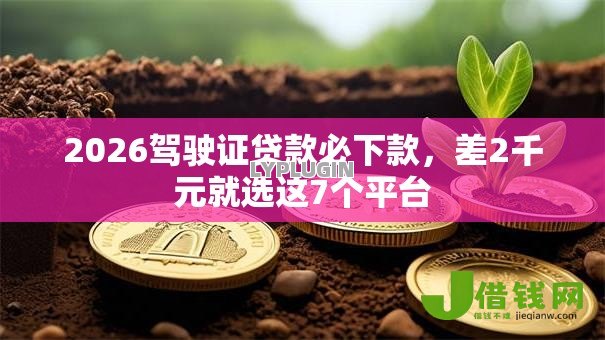 2026驾驶证贷款必下款，差2千元就选这7个平台