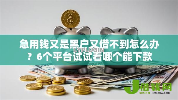 急用钱又是黑户又借不到怎么办?6个平台试试看哪个能下款 急用钱又是黑户又借不到怎么办?6个平台试试看哪个能下款