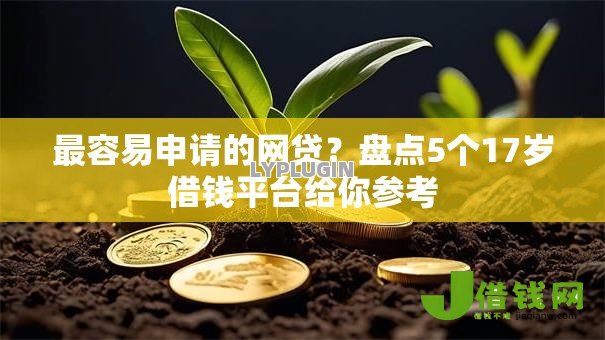 最容易申请的网贷？盘点5个17岁借钱平台给你参考