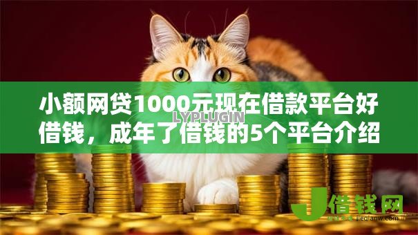 小额网贷1000元现在借款平台好借钱，成年了借钱的5个平台介绍
