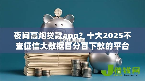 夜间高炮贷款app?十大2025不查征信大数据百分百下款的平台推荐 夜间高炮贷款app?十大2025不查征信大数据百分百下款的平台推荐