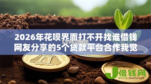 2026年花呗界面打不开找谁借钱网友分享的5个贷款平台合作我觉得不错！