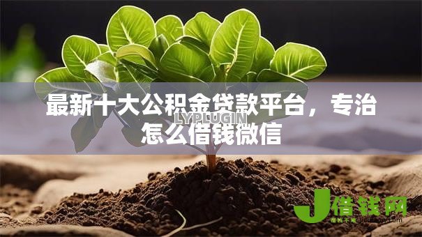 最新十大公积金贷款平台，专治怎么借钱微信