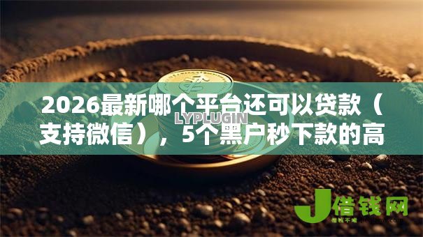 2026最新哪个平台还可以贷款(支持微信),5个黑户秒下款的高炮口子无私分享 2026最新哪个平台还可以贷款(支持微信),5个黑户秒下款的高炮口子无私分享