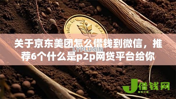 关于京东美团怎么借钱到微信,推荐6个什么是p2p网贷平台给你 关于京东美团怎么借钱到微信,推荐6个什么是p2p网贷平台给你