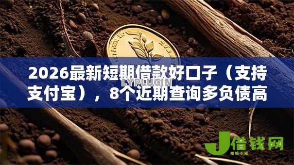 2026最新短期借款好口子（支持支付宝），8个近期查询多负债高还能出额度的口子无私分享