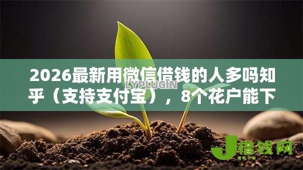 2026最新用微信借钱的人多吗知乎(支持支付宝),8个花户能下款的平台无私分享 2026最新用微信借钱的人多吗知乎(支持支付宝),8个花户能下款的平台无私分享