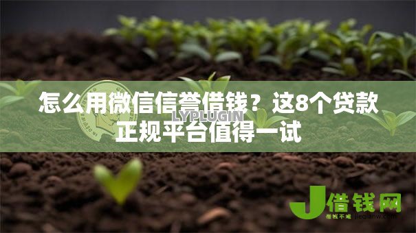 怎么用微信信誉借钱?这8个贷款正规平台值得一试 怎么用微信信誉借钱?这8个贷款正规平台值得一试