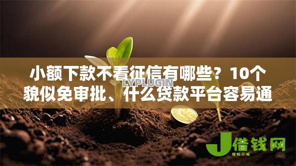 小额下款不看征信有哪些?10个貌似免审批、什么贷款平台容易通过合集 小额下款不看征信有哪些?10个貌似免审批、什么贷款平台容易通过合集