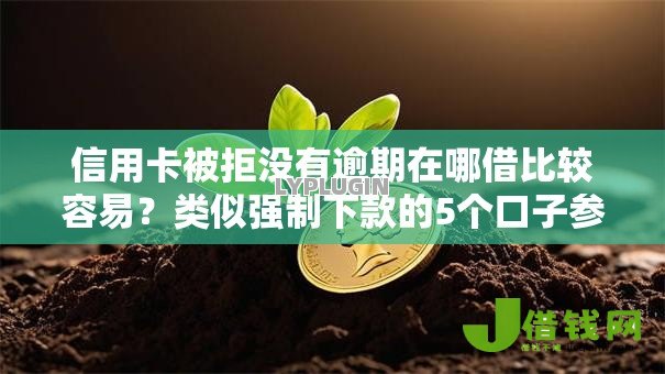 信用卡被拒没有逾期在哪借比较容易？类似强制下款的5个口子参考
