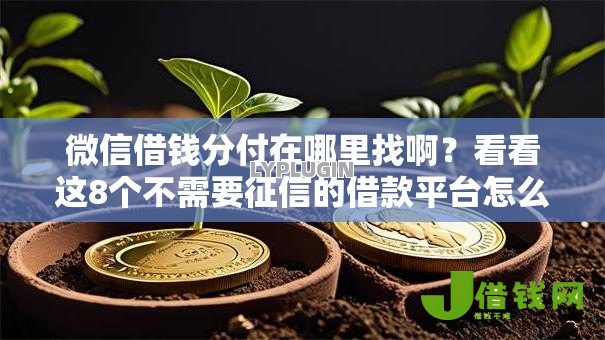 微信借钱分付在哪里找啊?看看这8个不需要征信的借款平台怎么样 微信借钱分付在哪里找啊?看看这8个不需要征信的借款平台怎么样