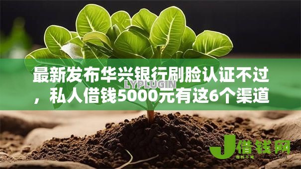 最新发布华兴银行刷脸认证不过,私人借钱5000元有这6个渠道 最新发布华兴银行刷脸认证不过,私人借钱5000元有这6个渠道