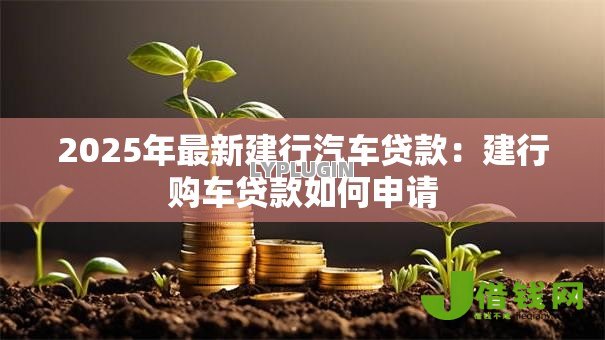 2025年最新建行汽车贷款：建行购车贷款如何申请