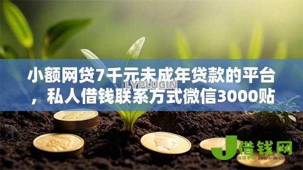 小额网贷7千元未成年贷款的平台，私人借钱联系方式微信3000贴吧的7个平台介绍