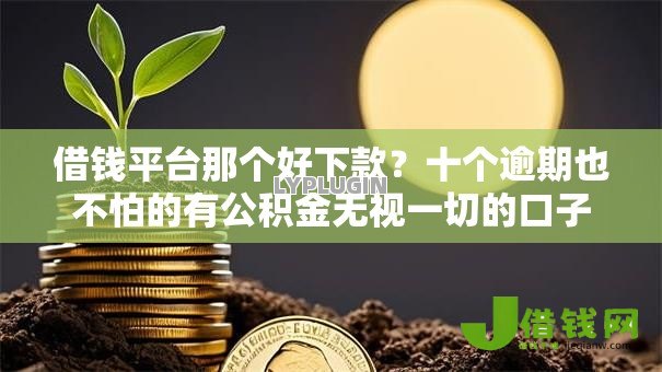 借钱平台那个好下款？十个逾期也不怕的有公积金无视一切的口子