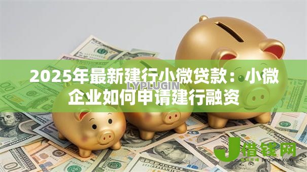 2025年最新建行小微贷款:小微企业如何申请建行融资 2025年最新建行小微贷款:小微企业如何申请建行融资