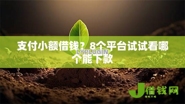 支付小额借钱?8个平台试试看哪个能下款 支付小额借钱?8个平台试试看哪个能下款