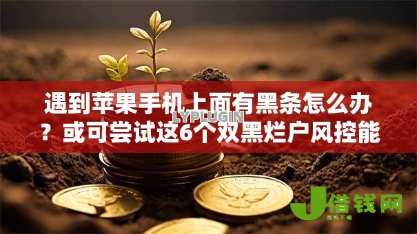 遇到苹果手机上面有黑条怎么办?或可尝试这6个双黑烂户风控能下款5000口子 遇到苹果手机上面有黑条怎么办?或可尝试这6个双黑烂户风控能下款5000口子