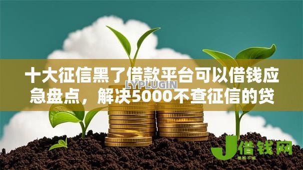 十大征信黑了借款平台可以借钱应急盘点,解决5000不查征信的贷款的问题 十大征信黑了借款平台可以借钱应急盘点,解决5000不查征信的贷款的问题