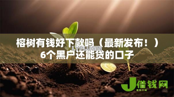 榕树有钱好下款吗(最新发布!)6个黑户还能贷的口子 榕树有钱好下款吗(最新发布!)6个黑户还能贷的口子