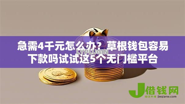 急需4千元怎么办？草根钱包容易下款吗试试这5个无门槛平台