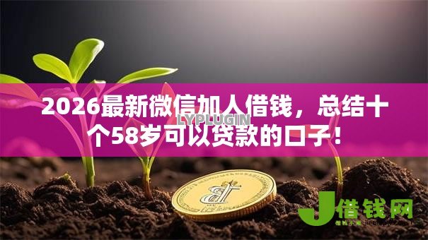 2026最新微信加人借钱，总结十个58岁可以贷款的口子！