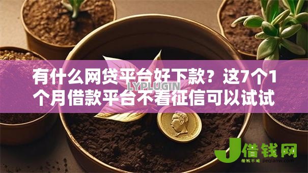 有什么网贷平台好下款?这7个1个月借款平台不看征信可以试试 有什么网贷平台好下款?这7个1个月借款平台不看征信可以试试
