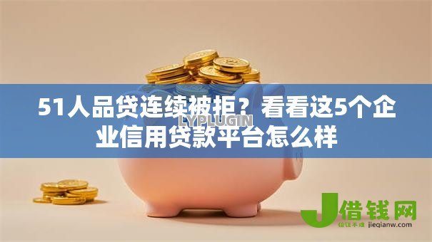 51人品贷连续被拒？看看这5个企业信用贷款平台怎么样