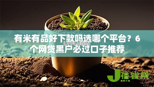 有米有品好下款吗选哪个平台?6个网贷黑户必过口子推荐 有米有品好下款吗选哪个平台?6个网贷黑户必过口子推荐