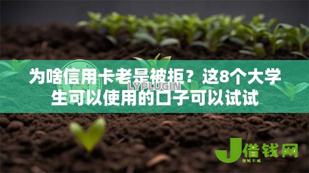 为啥信用卡老是被拒？这8个大学生可以使用的口子可以试试